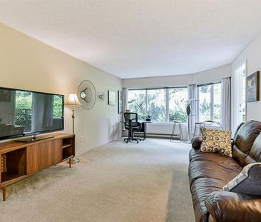 Large One Bedroom Condo. Close to Scott Road! - Photo 2