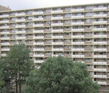 Dadeltuin 0ong, 3078 Rotterdam, Nederland - Photo 2