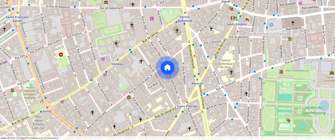 Rue Saint Placide, 75006, Paris