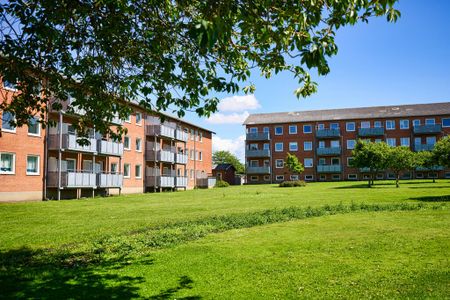 Refsvej, 75, 2. th, Thisted, 7700 - Photo 3