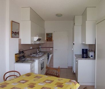 4-Zimmer-Attikawohnung, durchgehend, ruhig, Plan-les-Ouates - Photo 1