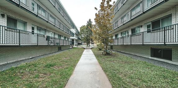 1 Bedroom - 6965 Rue De Choisy, Montréal - Photo 2