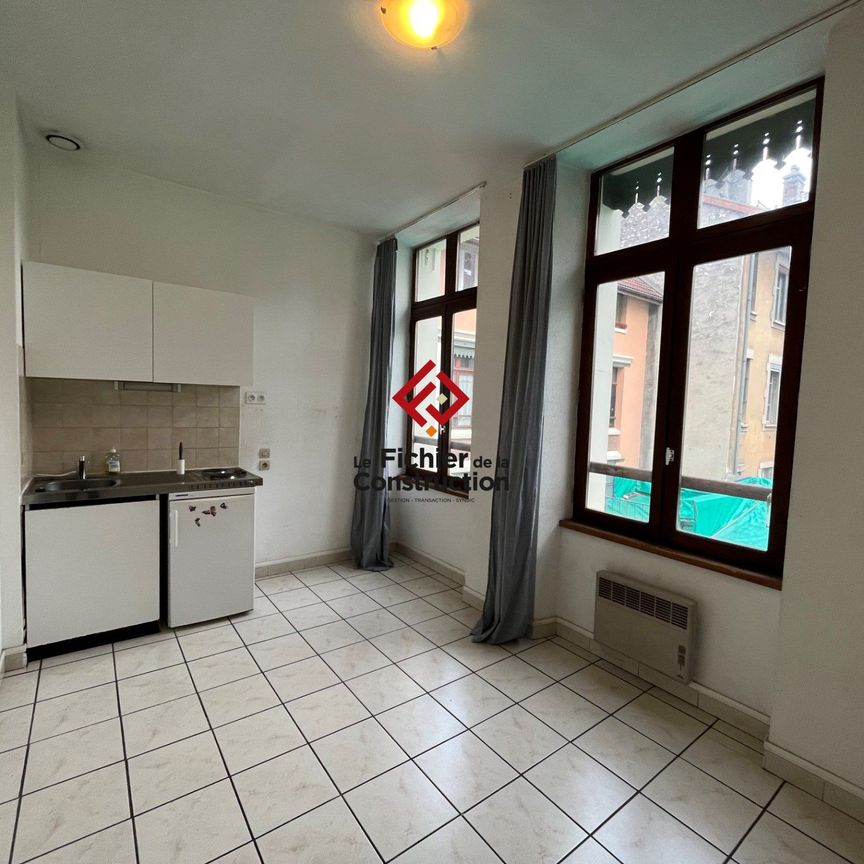 Location Appartement 1 pièce 15m² GRENOBLE 38000 - Photo 1