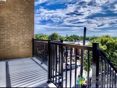 9424 rue Sherbrooke Est, Mercier / Hochelaga / Maisonneuve à louer - Photo 2