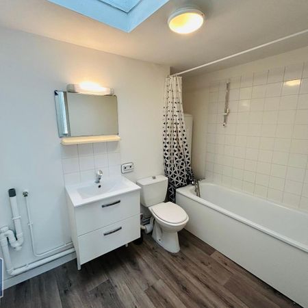 Location Appartement 1 pièce 20m² CROIX 59170 - Photo 3