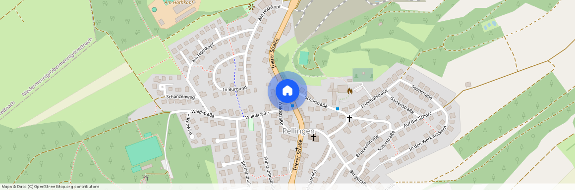 54331 Rheinland-Pfalz - Pellingen