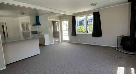 Peaceful Country Living in Central Tinui - Photo 4