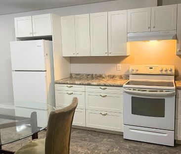 For Lease - 355 Draper's Street Unit# Lower, Welland, Ontario - Photo 4