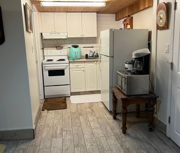 For Lease - 305 Eagle Street Unit# Basement, Newmarket, Ontario - Photo 4