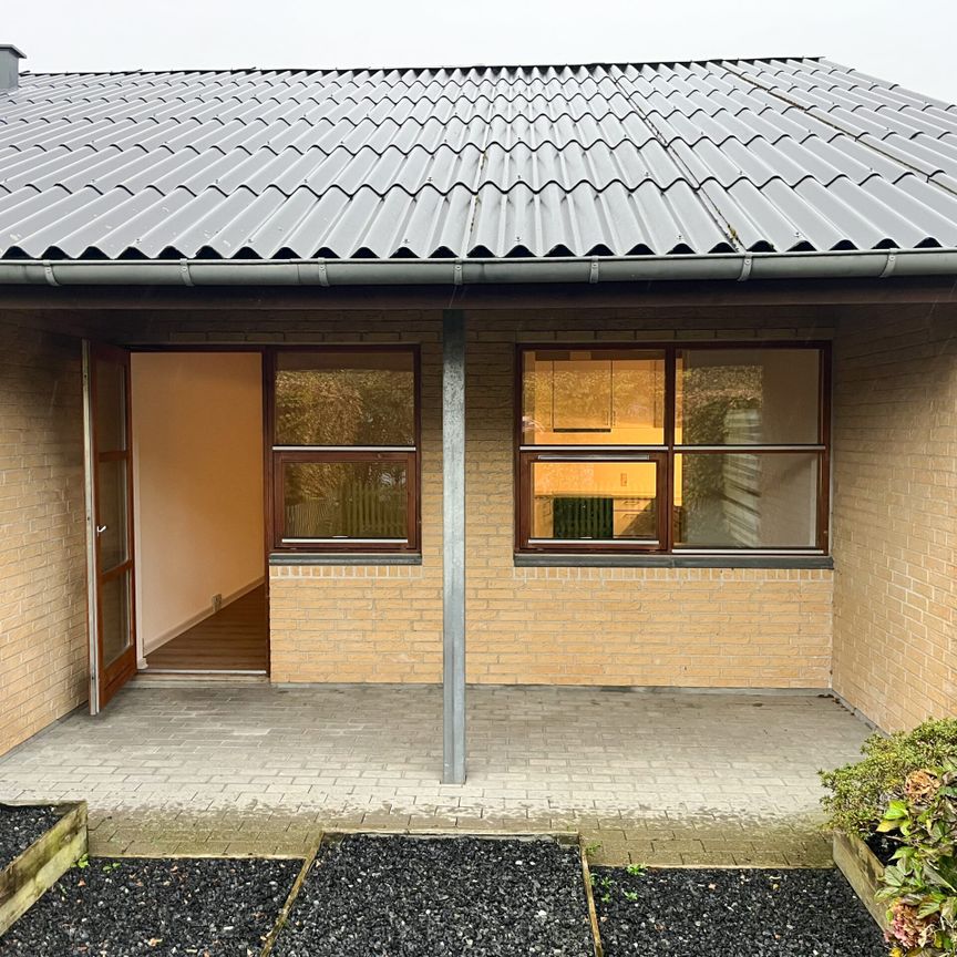 Hyggeligt 1-værelses rækkehus med egen have - Photo 1