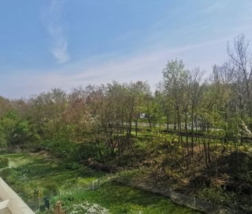 Wohnung, 4 Zimmer (88,95 m²) - Photo 5