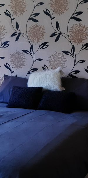 COSY HOUSE SHARE RIGHT BY CITY CENTRE/ASDA/ALL MALES - Photo 1