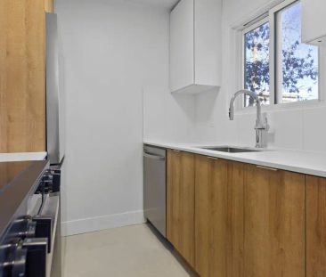Tedi — 1 Bedroom - Photo 1