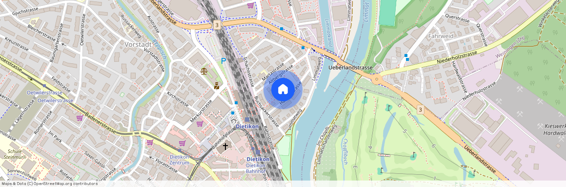 8953, Dietikon, Haslernstrasse, 4