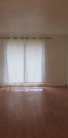 1bdr, $1850, available right now, brand new renovated - Photo 1