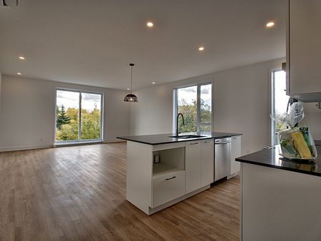 Rue Airlie, H8R 2A1, Montréal - Photo 5