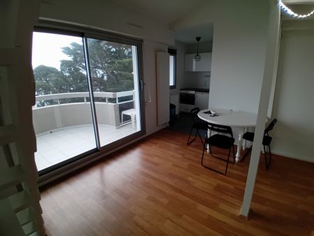 Biarritz - Appartement - 1 pièce - 31m² - Photo 4