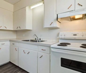 - 2 Bedroom at Dickson Apartments - Photo 1