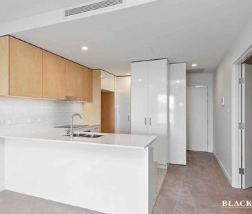 Sunny spacious two bedroom apartment - Photo 1