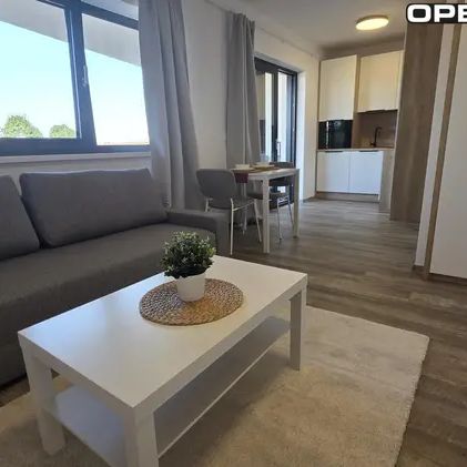 Podnájem nového velmi pěkného zařízeného cihlového bytu 1+kk nedaleko centra Brna - Photo 1