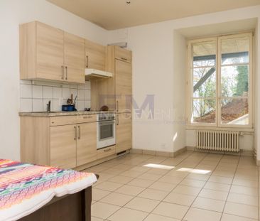 Saint Jean, rue du Belvédère, 2 rooms on the ground floor, approx. ... - Foto 4
