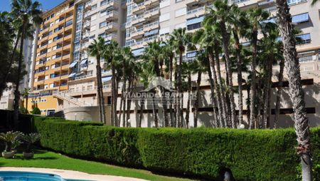 Lovely 2 bedroom apartment for rent in Campoamor! - Foto 4