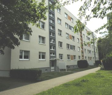 1- Raumwohnung im beliebten Knieper Nord! - Photo 1