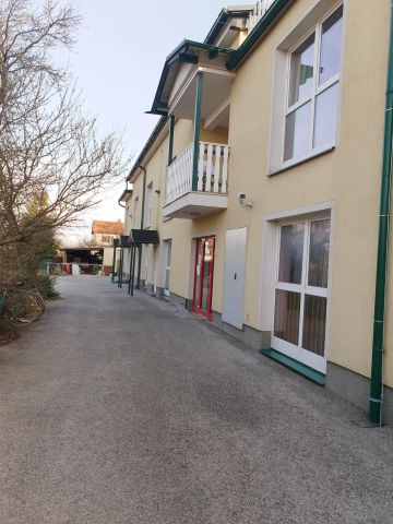 Ein - Zimmerwohnung mit neuer Küche + Balkon zu vermieten! - Foto 5