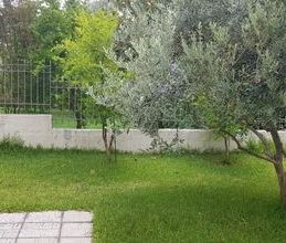 Μονοκατοικία για ενοικίαση - Άγιος Στέφανος - Photo 5