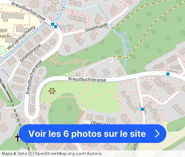 2-ROOM APARTMENT IN LUCERNE, FURNISHED, TEMPORARY - Photo 1