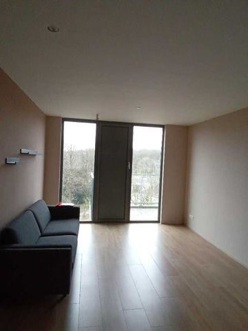 Grenenhout 8-420 - Photo 3