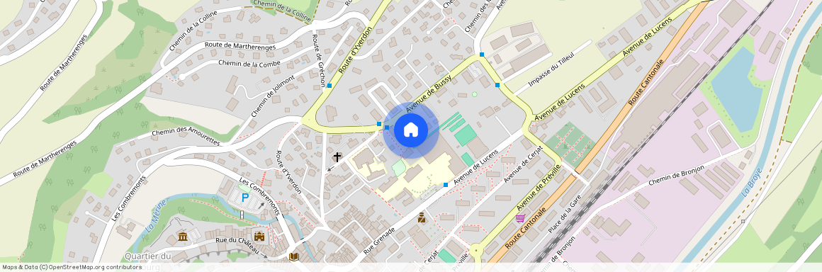 Avenue de Bussy 14, 1510 Moudon