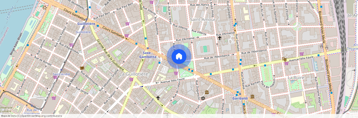 1 place Aristide Briand, LYON, 69003