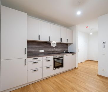 Erholungsgebiet mit Garten: Schicke Neubau-Mietwohnung! - Photo 2