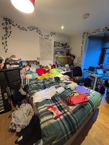 Studio Flat, St Michaels Lane, LS6 - Photo 4