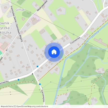 ul. Czyżowicka, Wodzisław Śląski, wodzisławski, śląskie