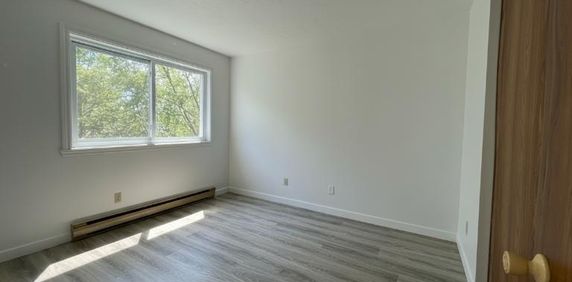 3 ½ à louer - dernier étage - Longueuil - Photo 2