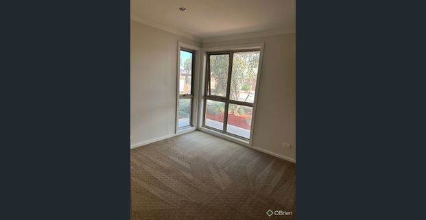 LEAFY, LOW MAINTENANCE LIVING - Photo 1