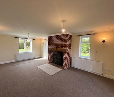 Little Green - Photo 2