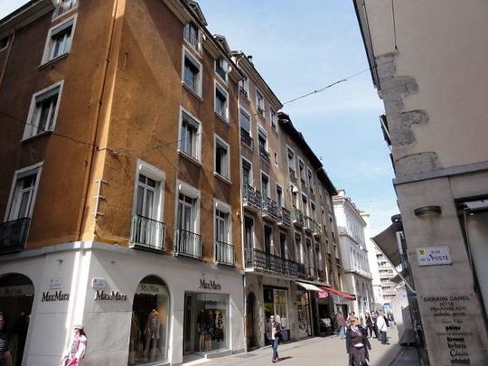 Location Appartement 1 pièce 17m² GRENOBLE 38000 - Photo 1