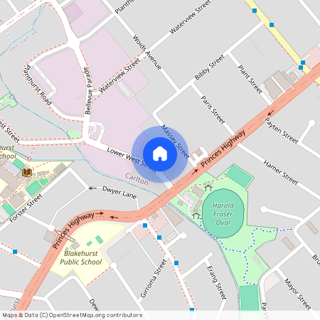 262 West Street, NSW 2218, Carlton