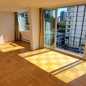 Large Bright Pet Friendly Studio available Dec. 15th - Photo 1