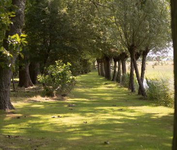 Rijnsburgerweg - Foto 6