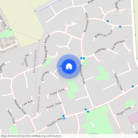 Bluebells, Peterborough