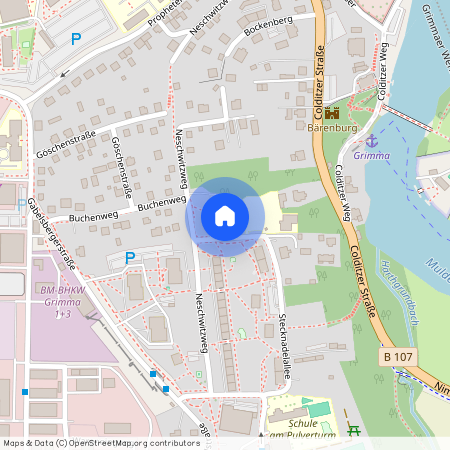 Stecknadelallee 13, 04668 Grimma