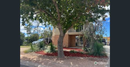 LEAFY, LOW MAINTENANCE LIVING - Photo 3