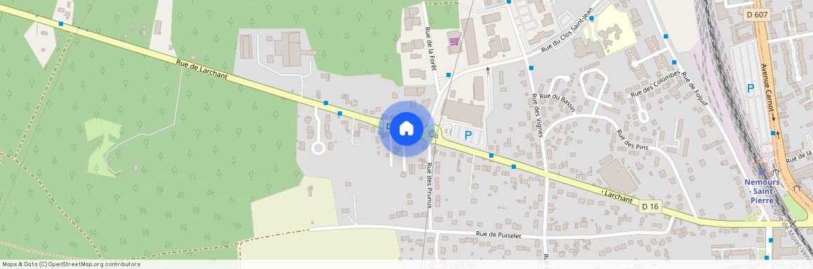 SEINE-ET-MARNE (77), - ILE-DE-FRANCE, NEMOURS (77140)