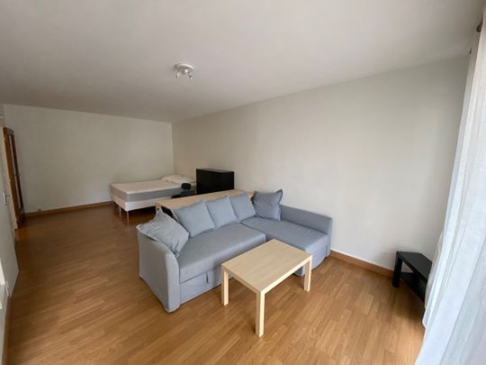 Location Appartement 1 pièce 48m² - Photo 1