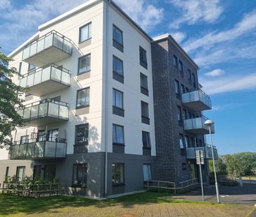 Malörtsvägen 6, Trelleborg Norr - Foto 6