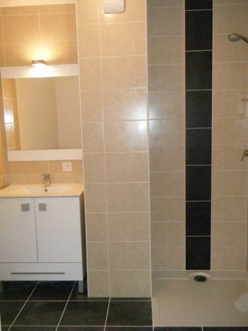 Location Appartement 1 pièce 43m² BESANCON 25000 - Photo 4